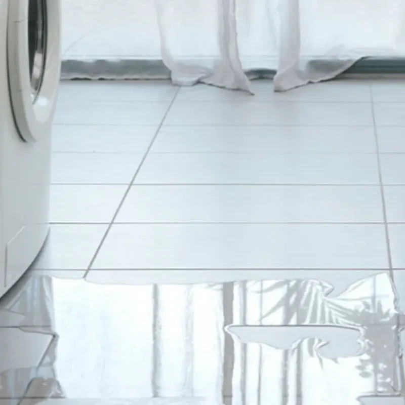 Appliance Leak Cleanup in Clarke County, IA