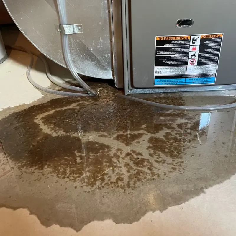 Pipe Burst and Leak Restoration in Clarke County, IA