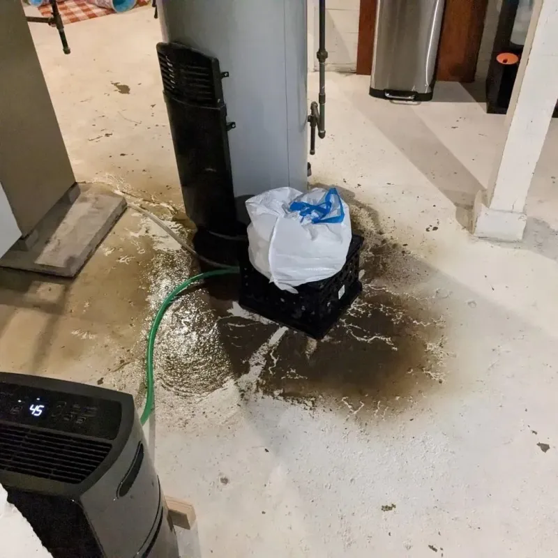 Sewage Backup Cleanup Service in Clarke County, IA